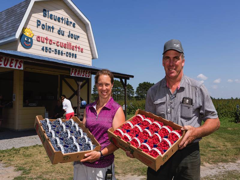 Bleuetière Point du jour – Cultivation of small fruits in Lavaltrie –