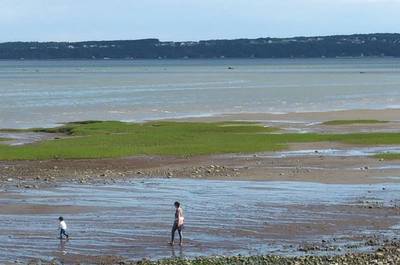 La marée basse
