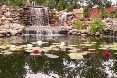 Jardin d'eau
