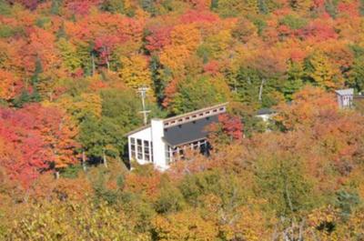 Fine Fall Weekends