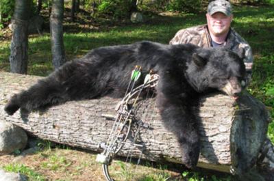 Chasse à l'ours