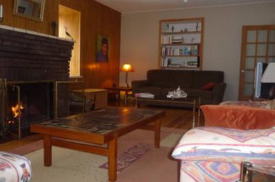 Le salon avec foyer et divan-lit