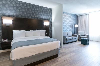 Suite King avec Salon