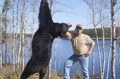 Chasse à l'ours noir