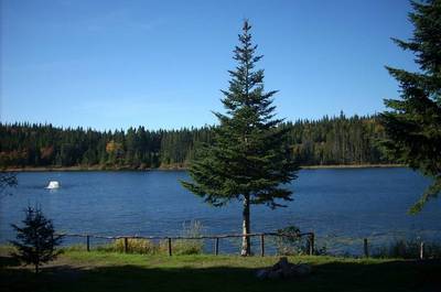 Le site
