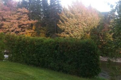 En automne