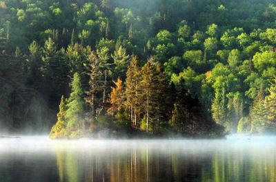 Îles lac Clair   © J-F.Hardy