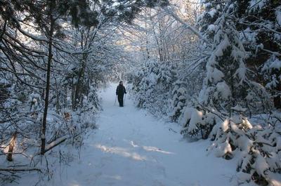 Raquette hivernale