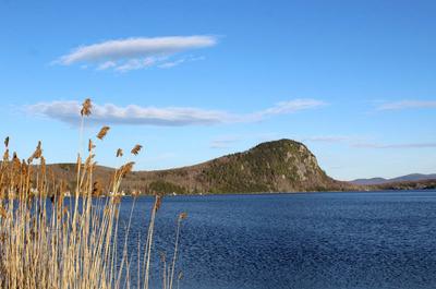 Lac Lyster