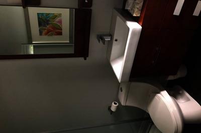 Salle de bain chambre principale