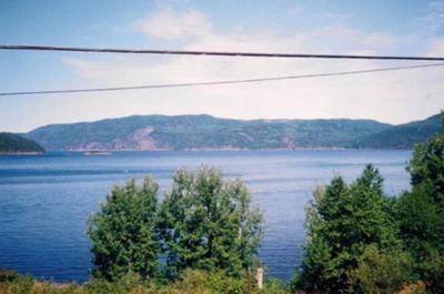 Vue
