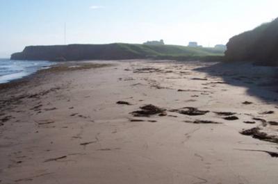 Plage devant la maison