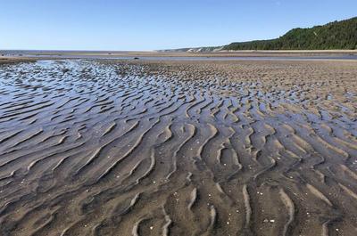 Une plage de sable fin   © Ville de Forestville