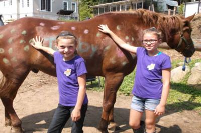 Peinture sur chevaux