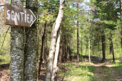 Sentier pédestre   © M.Bissonnette