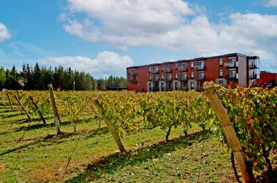 L'hôtel et le vignoble