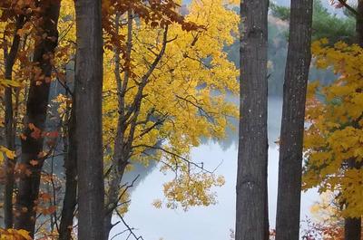 Vue sur le lac   © Domaine Baie Mud Ipho inc.