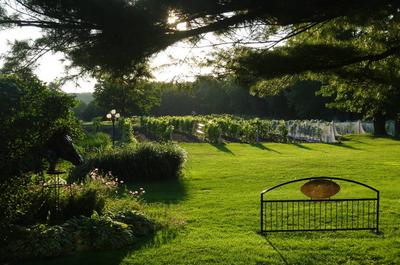 Vignoble Clos Ste-Croix