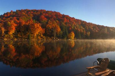 Couleurs d'automne   © G.Chambrier-Donnadieu