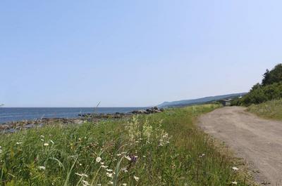 Rue sur le bord de la mer