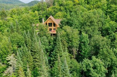 Dans les bois   © I.Radic