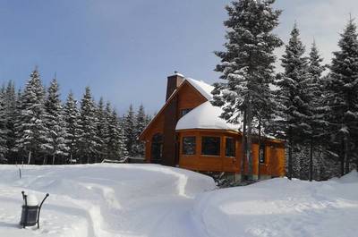 Sous la neige   © B.Hocke