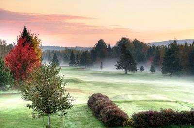 En automne   © S.Thibault