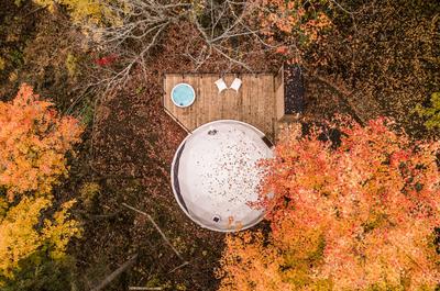 Couleurs d'automne   © M.Valsan