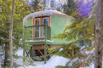 Yourte des bois