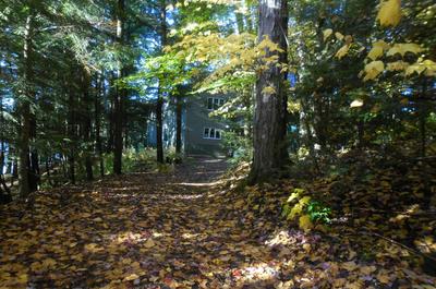 L'automne   © S.Dupuis
