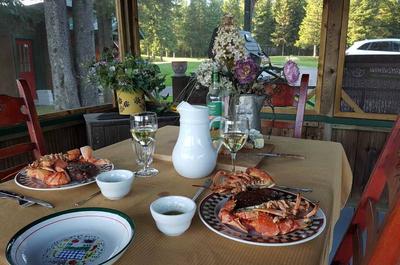 Repas au gazebo   © D.Laporte