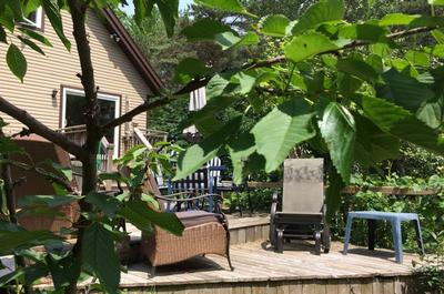 Patio arrière