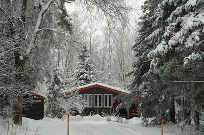 L'hiver