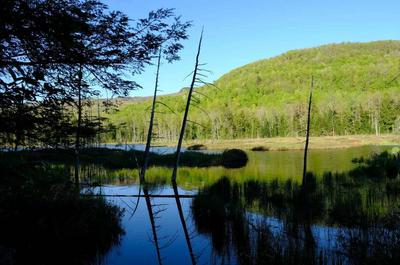 Lac aux castors