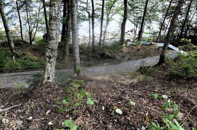 Descente vers la rivière