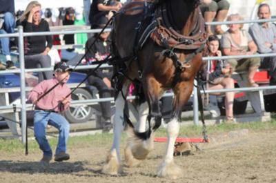 Exposition agricole de Beauce inc.