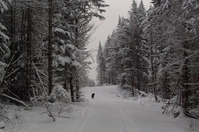En hiver   © D.Paulin