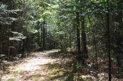 Sentier de marche   © C.Beaudoin