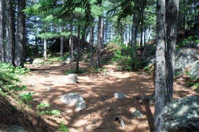 Camping de l'Île