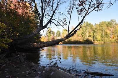 Bord rivière   © Obergeinn