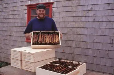 Le Fumoir d’antan – Hard smoked herring Économusée