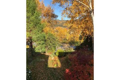 Terrain arrière végétation en automne