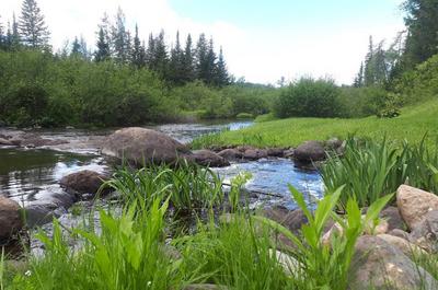 Rivière