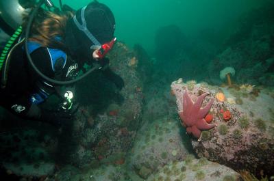 Marine Environment Discovery Centre