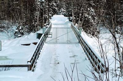 L'arrivée   © P.Morin