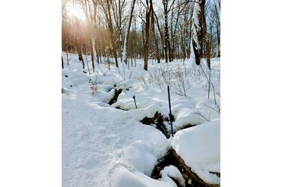 La source   © P.Morin
