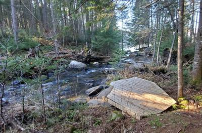 Ruisseau   © V.Tudose