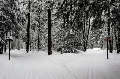 Sentiers en hiver   © Ville de Mascouche
