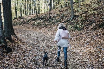 Promenade à l'automne   © Ville de Mascouche