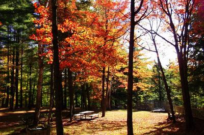 Parc des chutes Lysander   © Municipalité d'Inverness